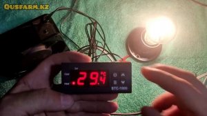 Терморегулятор stc 1000 подключения и настройки для Инкубатора брудер Термостат