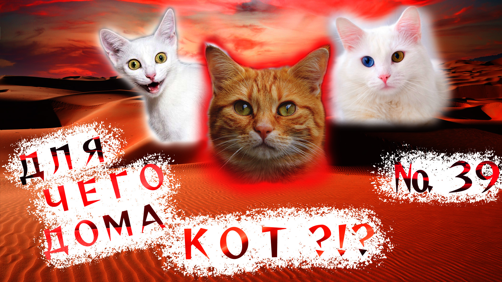 Вот зачем дома НУЖЕН КОТ!!! ?(39). смотреть онлайн
