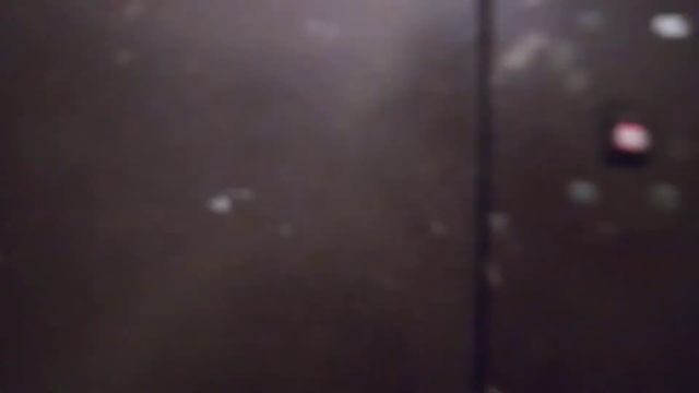 Обзор подьезда, лифта и домофона в ЖК Гармония на Гайдара 57 д.3, Архангельск смотреть онлайн