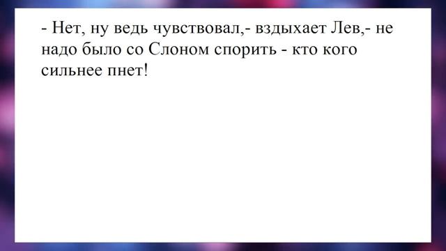 Как ты относишься к садомазо? Лучшие анекдоты. Смешные анекдоты. Веселые анекдоты. Шутки. Приколы. смотреть онлайн