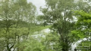 Экскурсия в Великий Новгород