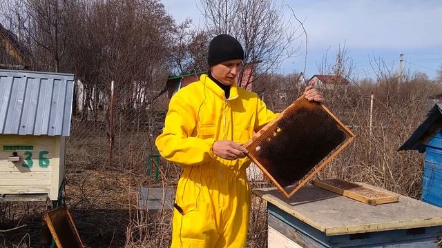 Начинающим пчеловодам: какие ульи выбрать для пасеки - видеообзор смотреть онлайн