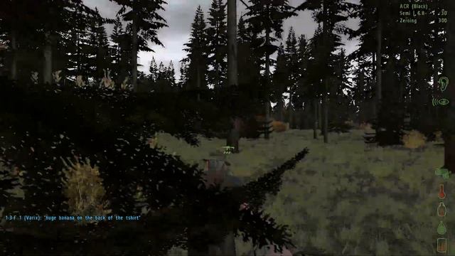 Arma 2: DayZ Fusion Mod │ First Impressions │ Part 5 │ "Rastafarian Gangster!" смотреть онлайн