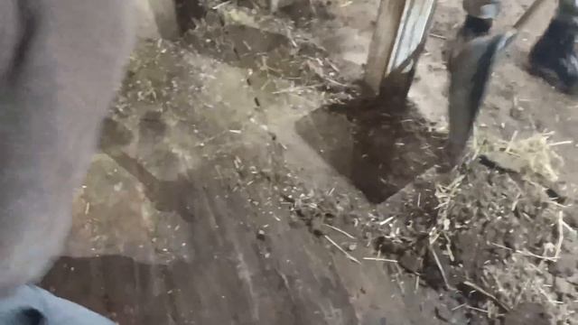 ПЕРЕД НОВЫМ ГОДОМ НАДО ОБЯЗАТЕЛЬНО ЗАЛЕЗТЬ ПО КОЛЕНО В ГОВ.....НО, И ТОГДА ВАС УДАЧА НЕ ПОКИНЕТ смотреть онлайн