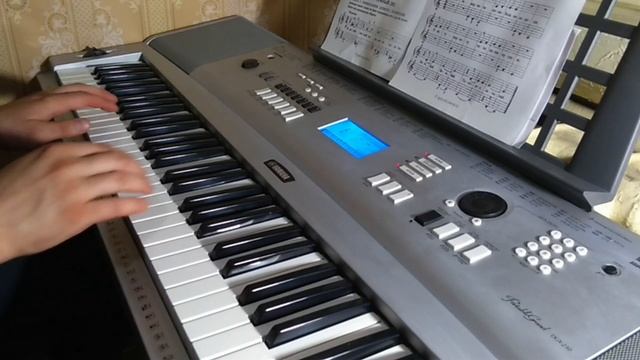 Yamaha DGX-230 Sound Test