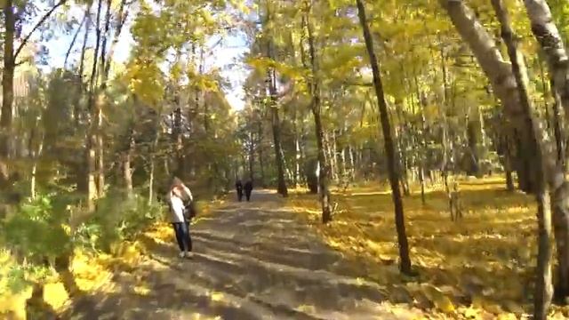 На ЭлектроСамокате по Парку Кузьминки. Moscow. 9/10/2021. #самокат #электросамокат #sonyactioncam смотреть онлайн