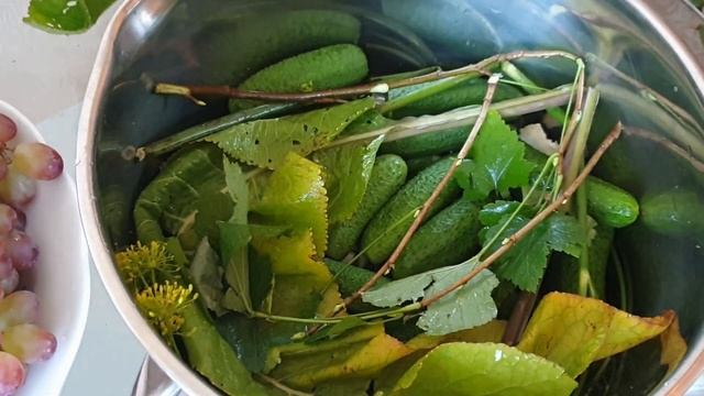 Фотоискусство и Эстетика