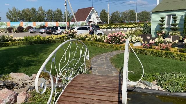 Питомник гортензий Веры Глуховой в Самаре смотреть онлайн