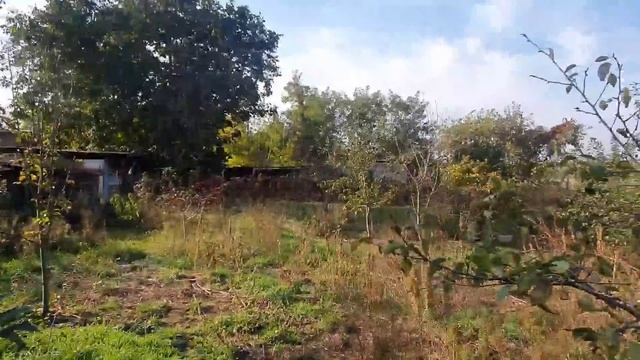 ДОМ У РЕКИ / УСТЬ-ЛАБИНСКИЙ РАЙОН КРАСНОДАРСКИЙ КРАЙ/ УЧАСТОК 16 СОТОК, САД смотреть онлайн