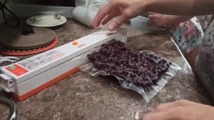 Мой вакууматор. Замораживаю крыжовник