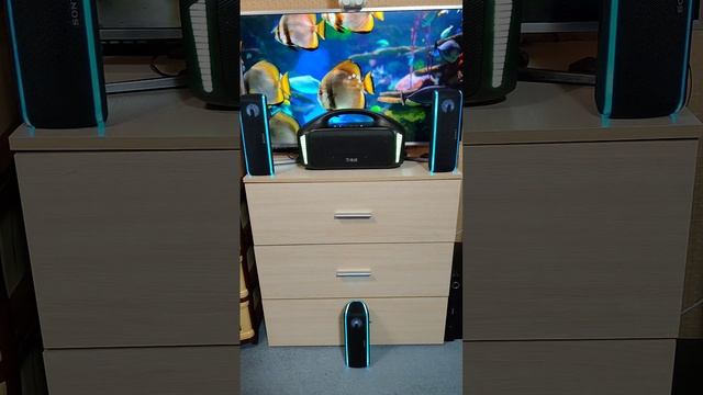 3*Sony srs xb41(rms 120w) vs Tribit StormBox Blast(rms 90w) смотреть онлайн