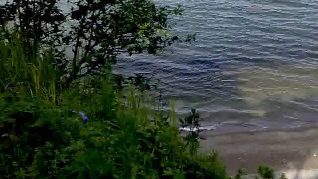 Бухта сопка любви.mp4 смотреть онлайн