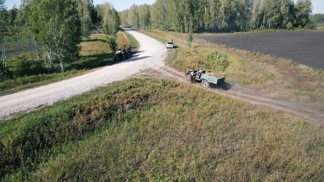 Все на картошку! Уборка картофеля в Новосибирской области 2022 смотреть онлайн