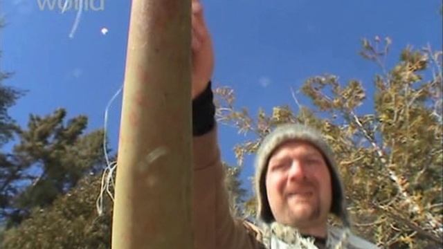 ZImnaya смотреть онлайн
