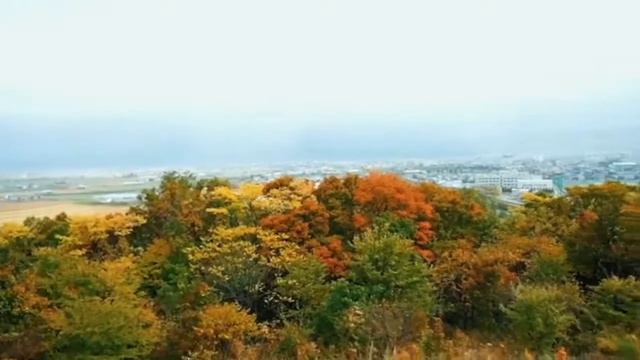 Furano Biei Day Trip with Hokkaido Chuo Sightseeing Bus смотреть онлайн