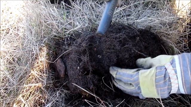 Один день реального копа по старине 3 смотреть онлайн