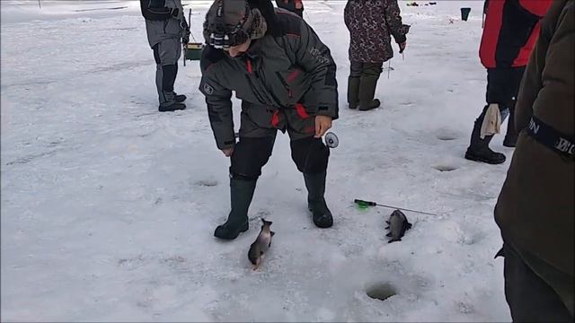 Поимки форели на актив. Верхний пруд, Клёвое место лосиный остров смотреть онлайн