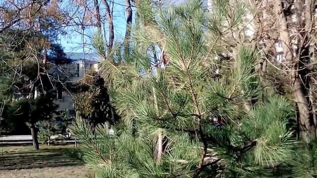 ЖК на Крепостной 10 02 16 смотреть онлайн
