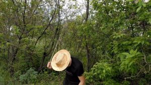 ЛОВУШКА НА ЧЕЛОВЕКА!? Как сделать ПОДЪЕМНУЮ петлю для человека?! Поймал себя на Ловушку!