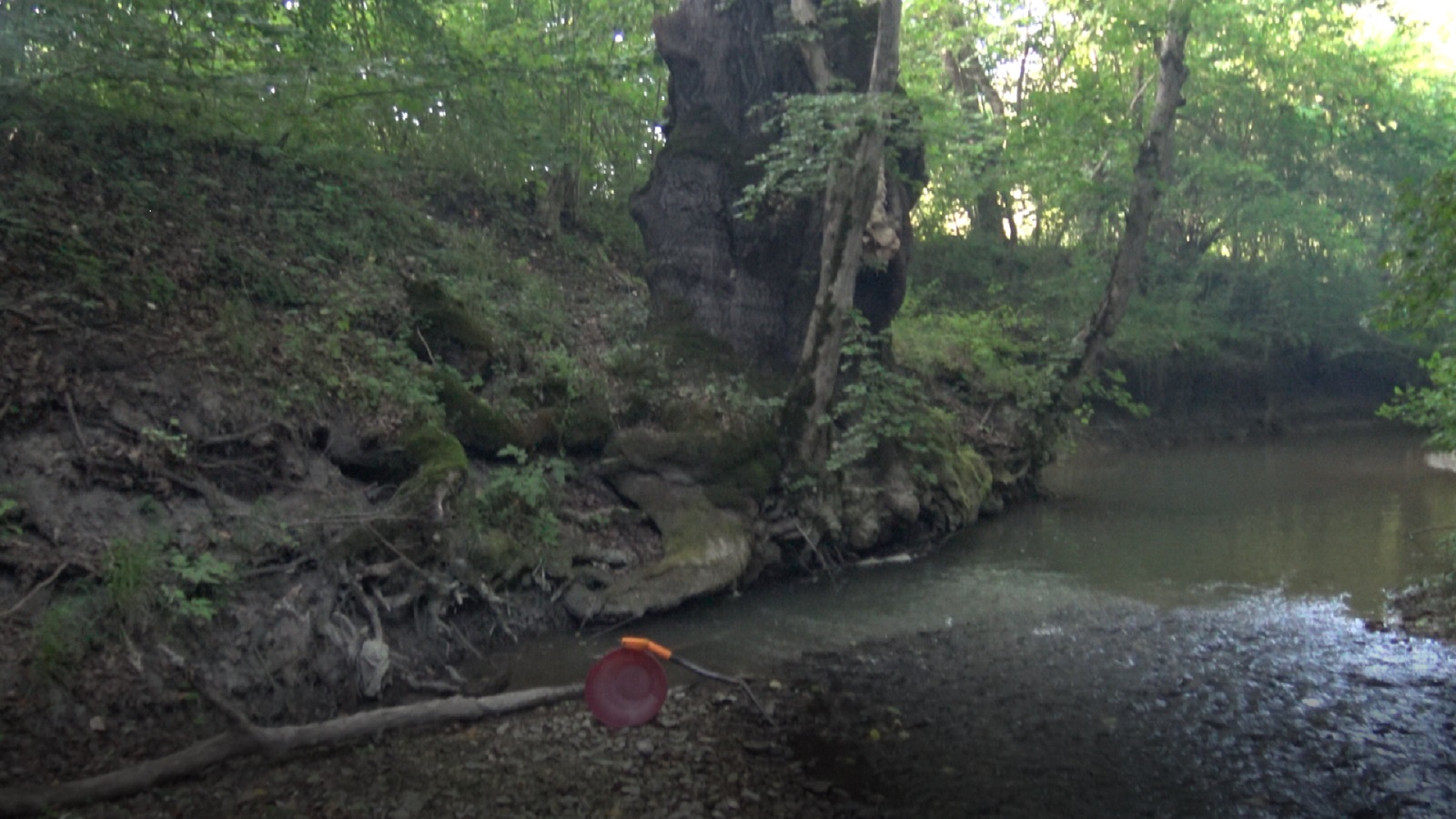 Так Золото Можно искать! смотреть онлайн