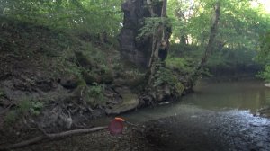 Так Золото Можно искать!