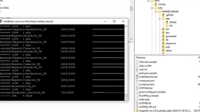 Install and Configure Magento 2.4 Theme with Manual Package by Command Line | MagenTech смотреть онлайн