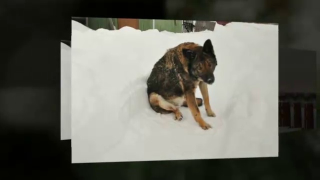 Оригинальный классический. Видео из фото. смотреть онлайн