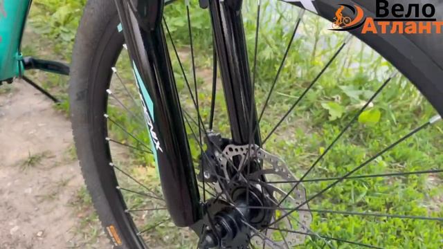 Алюминиевый Женский Велосипед Phoenix Vcaro 26 в Веломагазине (Вело Атлант) смотреть онлайн