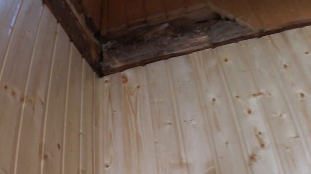 Овощной день!/Продолжение дачного ремонта! КУДА ДЕТЬ БРАК?/Скутер в помощь)/ Как цветет солидаго? смотреть онлайн