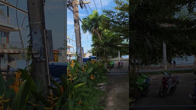 Пхукет Ao Por Pier ожидание экскурсии среди цветов смотреть онлайн