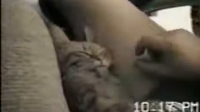 Когда я сплю я за себя не отвечаю смотреть онлайн