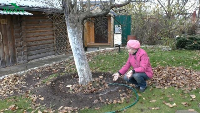 ?? Осенний влагозарядный полив: что поливать, каким способом и насколько обильно - 7 дач смотреть онлайн