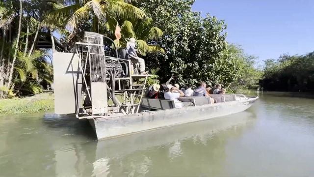 Аллигаторовая ферма в Майами | Прокатились с ветерком по болотам Эверглейдс смотреть онлайн