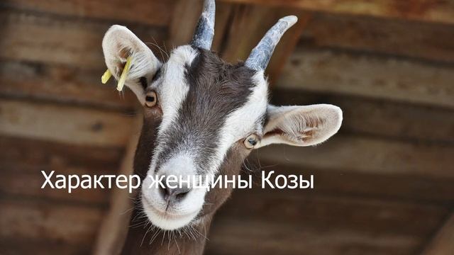 Женщина рождённая в год Козы смотреть онлайн