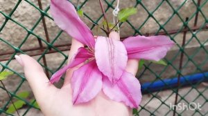 Климатисы, Климатисы, Климатисы