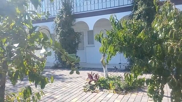 КАК РАСТИРАТЬ В ПОРОШОК ВРАГОВ 14.10.2021 смотреть онлайн