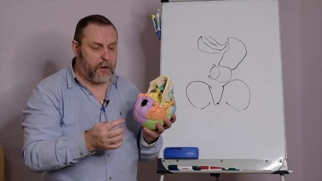 Задержка речевого развития ребенка. Из-за чего возникает? Как лечить? смотреть онлайн