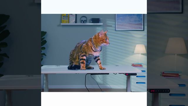 Get Stronger With SmartDesk 4 | Autonomous.ai