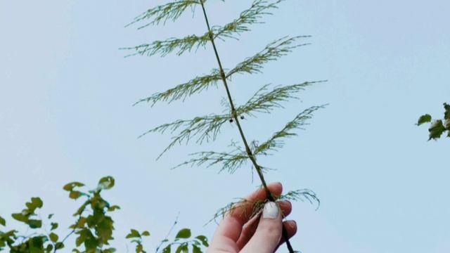 Музыка Для Сна 22 мСлушать Подряд Без Остановки Music For Sleeping 22 M Listen In A Row Without