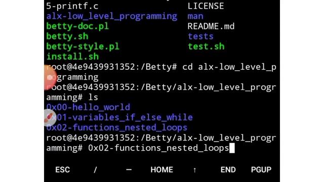 Betty coding style error how to resolve it 100% working on your terminal How run the Betty linter смотреть онлайн