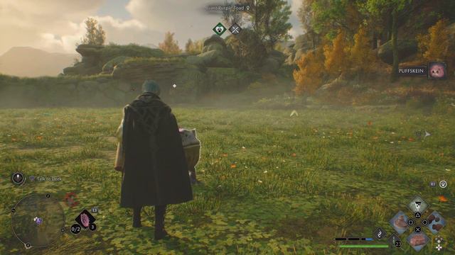 Thestral Hair, The Vivarium | Hogwarts Legacy (PS5) смотреть онлайн
