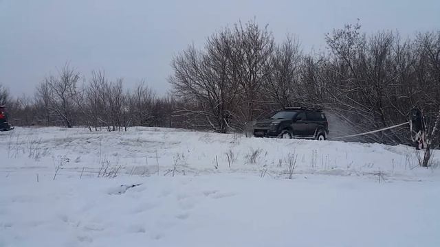 Выгул Hover. 08.01.2020 смотреть онлайн