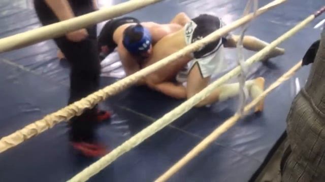 MMA.Красноярск. смотреть онлайн