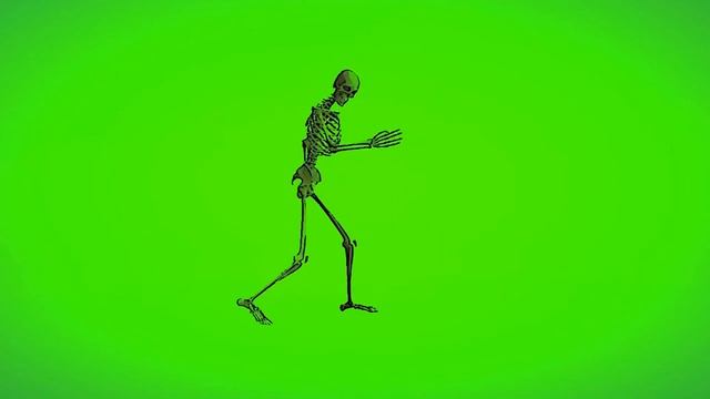 Скелет на зеленом фоне. Хромакей. смотреть онлайн