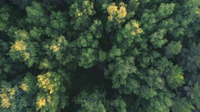 Июньский рассвет.