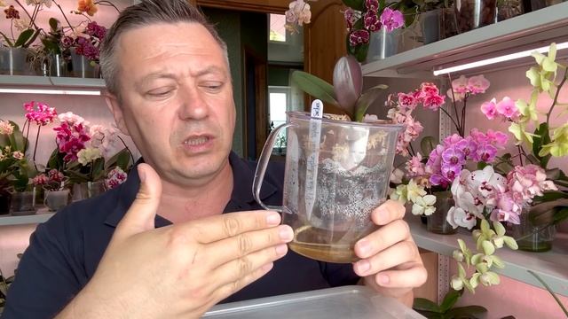 ДЛЯ РОСТА корней орхидеи НЕ БОЙТЕСЬ применять этот полив орхидей смотреть онлайн