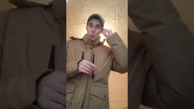 Мой первый день в качестве няни для кошек ???♂️...