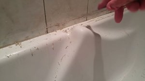 Удаление силикона с плитки и акриловой ванны. Быстро и эффективно.