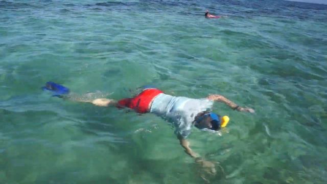 Как я стал генералом или дайвинг на острове Коче. How I became a general or diving on Coche Island. смотреть онлайн