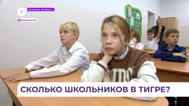 «Тигриные уроки» проводит FESCO в приморских школах и лицеях